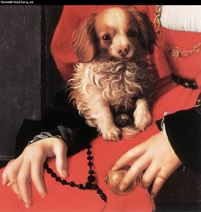 BRONZINO, Agnolo Portrait of a Lady with a Puppy (detail) fg